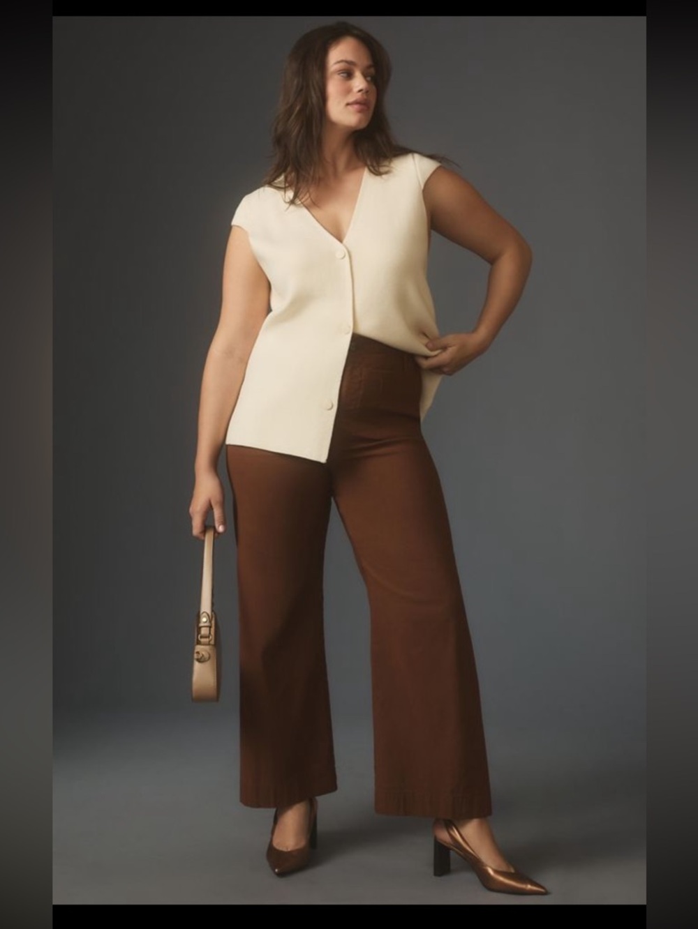 Anthropologie Maeve The Colette High Rise Wide Leg Pants Chocolate Brown 16 NWT